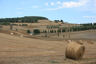 נוף כפרינוף כפרי  איטליה   toscana  טוסקנה