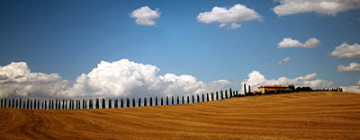 נוף כפריתמונות של שדות צילומים toscane טוסקנה   איטליה   