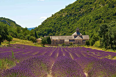 provence   פרובאנס  צרפת