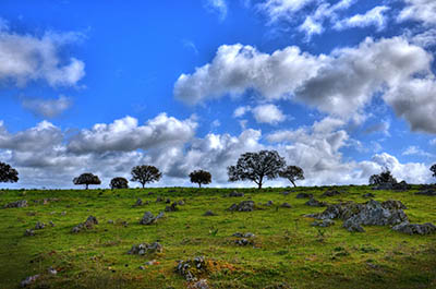 rocky field in spain  ספרד  עצים שמיים שמים  נוף 