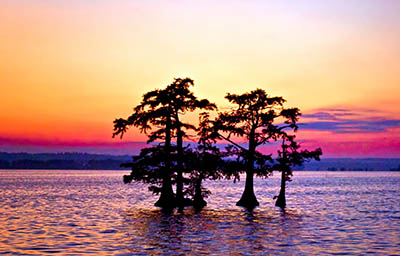  Reelfoot Lake