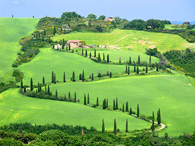 נוף כפרי  טוסקנה   איטליה
