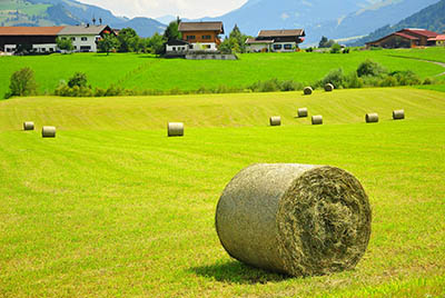 Austria field  - אוסטריהתמונות של שדות צילומים_Austria_field_hay_house_landscape