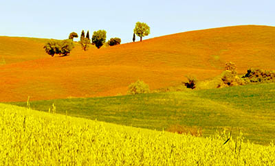 	תמונות של שדות צילומים   Toscana