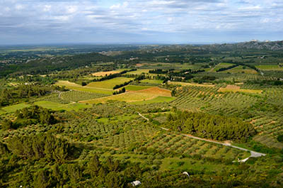 כרמים	תמונות של שדות צילומים  Les Baux de Provence near Aix