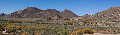  Goegap Nature Reserve Goegap Nature Reserve