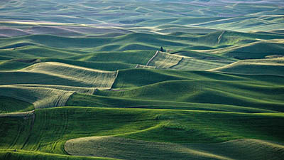 נוף נוף  nature_mountain_forest_landscape_fog_field_grass_ultrahd