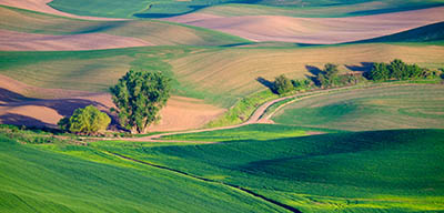 Palouse Palouse  תמונות של שדות צילומים