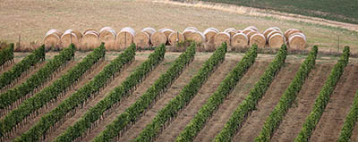  Val-d Orcia   landscape Val-d Orcia   landscape