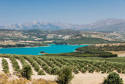  Landscape of Granada Province ,Andalusia Spainכרמים Landscape of Granada Province ,Andalusia Spain