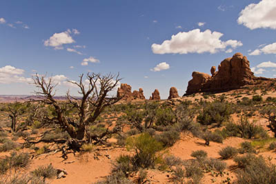  Desert Landscape Desert Landscape