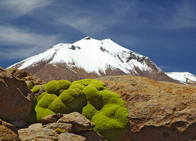  נוף בוליביה  Bolivia