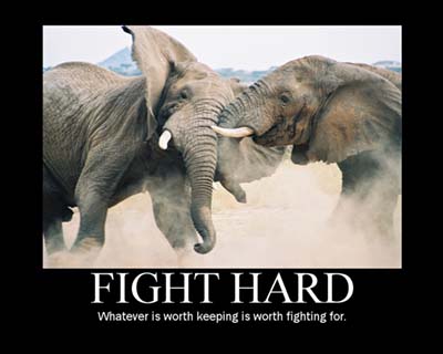 Motivation - Fight Hard