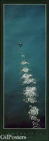 קורמורן ממריא בים