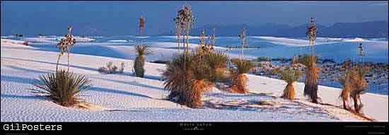 White sands  - New Mexico
