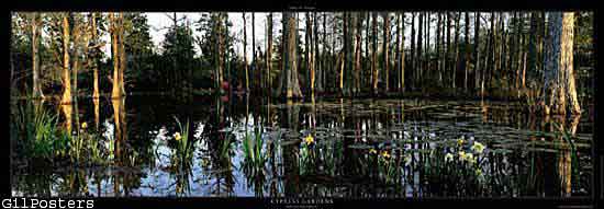 Cypress gardens Monks Corner, South Carolina USA