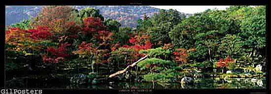 Jardin du Tenry?-ji  - Kyoto - Japan