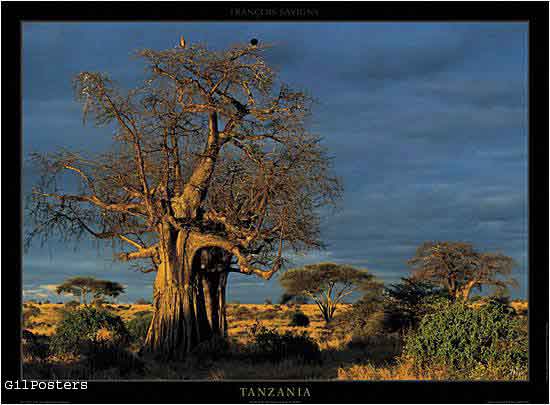 Tanzania