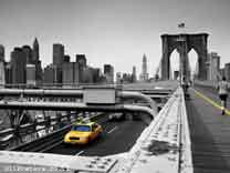 מונית צהובהגשר