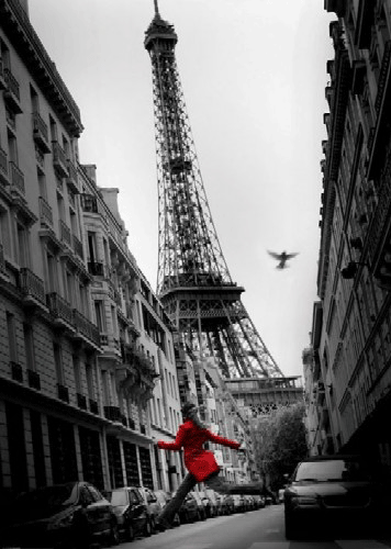  פריז paris אייפל שחור לבן אדום