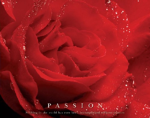 Passion  תשוקה 
