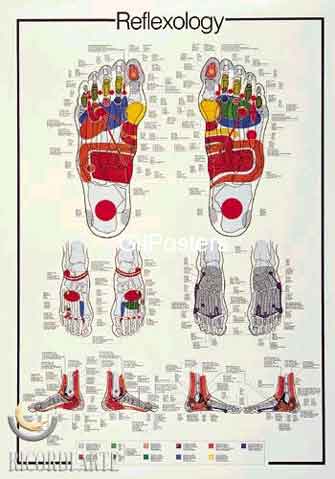 רפלקסולוגיה  reflexology