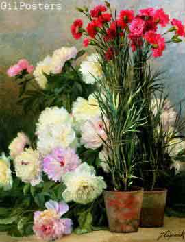 Peonies and Red Carnations