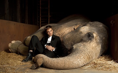 מים לפילים,רוברט פטינסון Water for Elephants