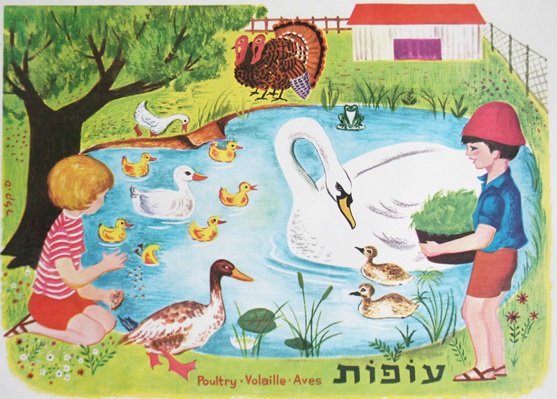 נוסטלגיה - עופות