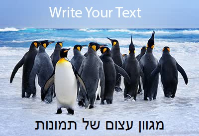 תמונות עם טקסט אישי - מבחר תמונות עצום !